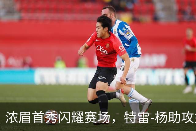 浓眉首秀闪耀赛场，特雷-杨助攻如潮引领奇才逆袭